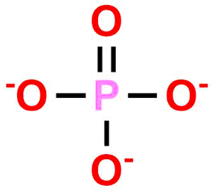 Alendronate EP Impurity B