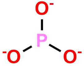 Alendronate EP Impurity C