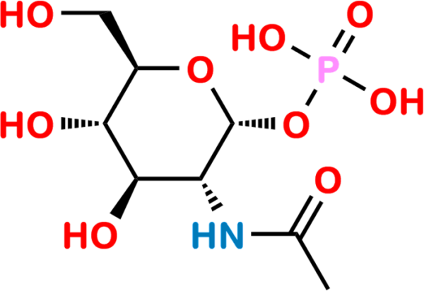 N-Acetyl-α-D-Glucosamine-1-Phosphate