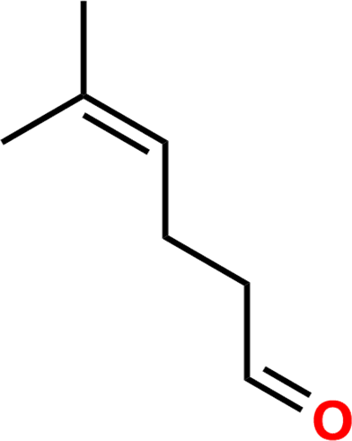 Isometheptene Impurity D