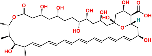 Amphoteronolide B