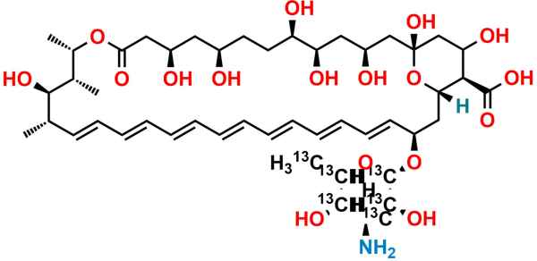 Amphotericin B-13C6