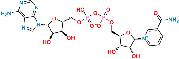 Nicotinamide Adenine Dinucleotide