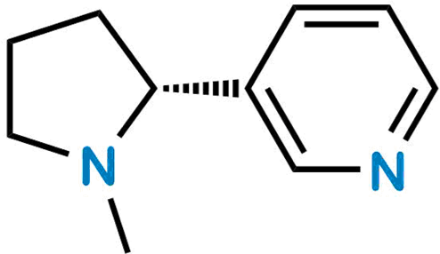 R-(+)-Nicotine