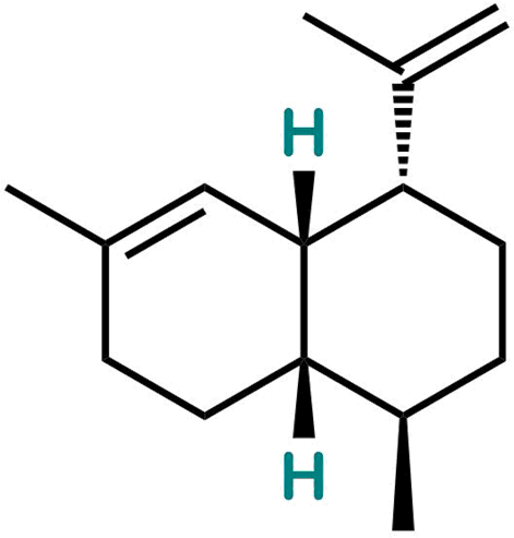 Amorphadiene