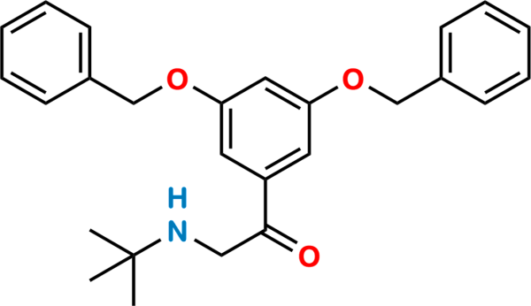 Diphenylmethoxy Terbutaline