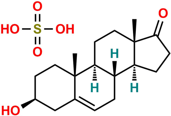 Dehydroepiandrosterone Sulfate