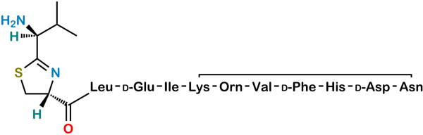 Bacitracin EP Impurity A