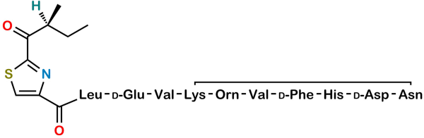 Bacitracin EP Impurity K