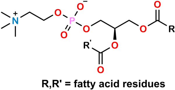 L-α-Phosphatidylcholine