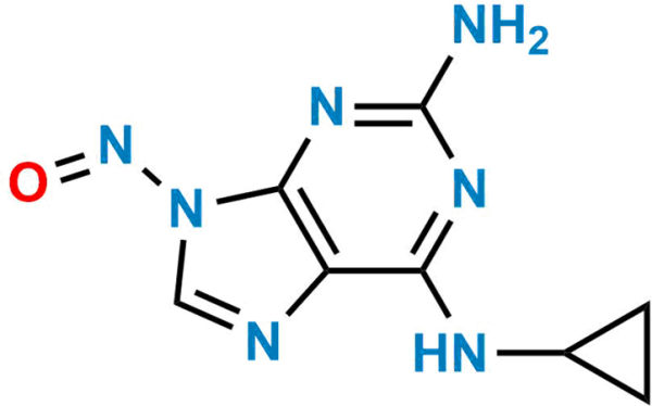 Abacavir Nitroso Impurity 3