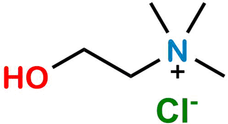 Acetylcholine Chloride EP Impurity A