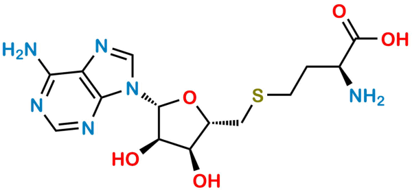 S-Adenosyl-L-Homocysteine